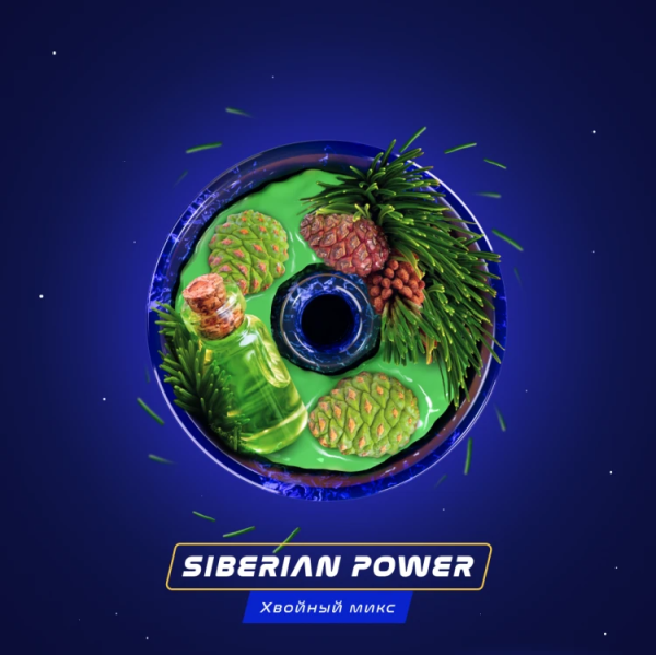 Паста Space Smoke BASIC Siberian Power (Хвоя Сосна Пихта) 30 гр в Калининграде