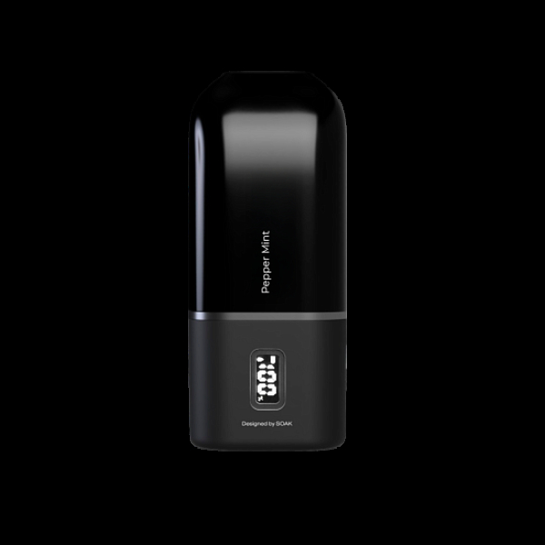 Электронка Soak 13 Pepper Mint Перечная Мята 13000 затяжек в Калининграде